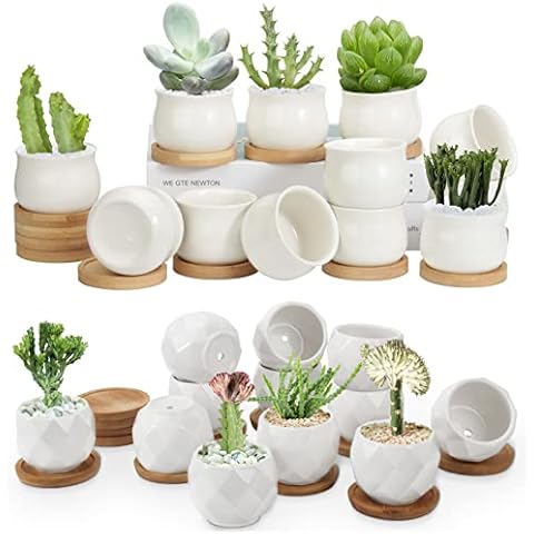 ZOUTOG 12 Pack Succulent Pots, 2.5 Inch White Mini Ceramic Planters with Drainage Hole, 2.5 inch Square Pattern Ceramic Planters, Plants Not Included Cover