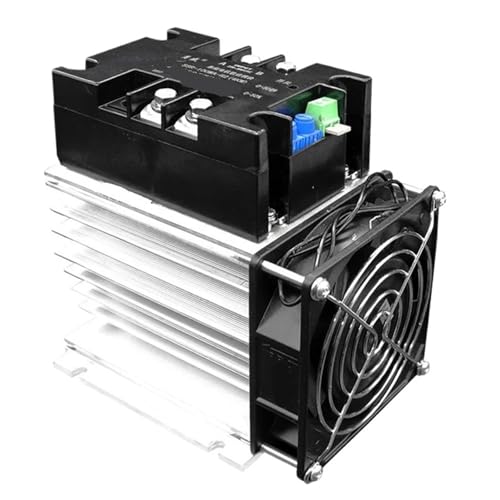 WENSHAOKP Single-Phase Motor Soft Starter Soft Start Module Slow Start(SSR-60WA-R1(2KW))