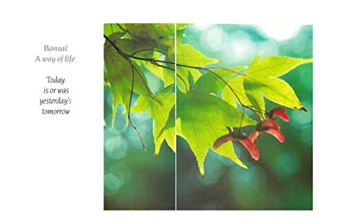 The Bonsai Book: The Definitive Illustrated Guide