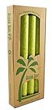 Aloha Bay - Taper Candle 9 inch, 4 pack