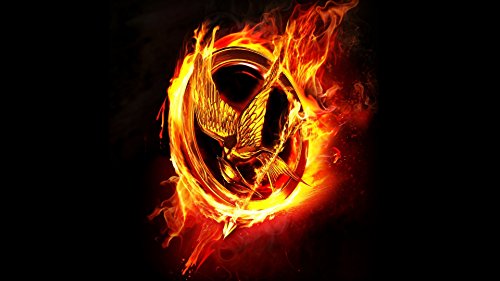 The Hunger Games American Dystopian Science Fiction Adventure Movie Fabric Poster