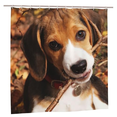Rideau de douche beagle en polyester 183x183 cm avec 12 œillets