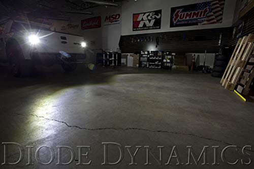 Diode Dynamics Backup LEDs compatible with Ford SVT 2010-2014 Raptor (pair), 194 HP5