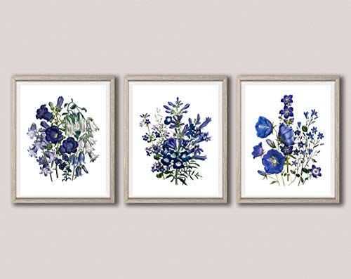 Affiche botanique fleur bleue 28x36 cm pour décoration de salon chic
