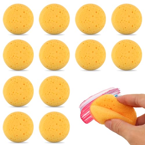 12 PCS Round Pottery Sponges for Crafts
