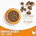 IAMS Katzenfutter trocken mit Huhn - Trockenfutter für Katzen im Alter von 1-6 Jahren, 10 kg