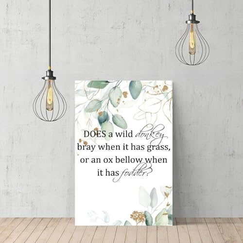 Does A Wild Donkey Bray toile encadrée salon moderne