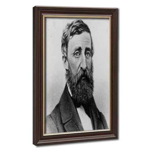 Poster Henry David Thoreau portrait 1879 pour créer un coin lecture inspirant