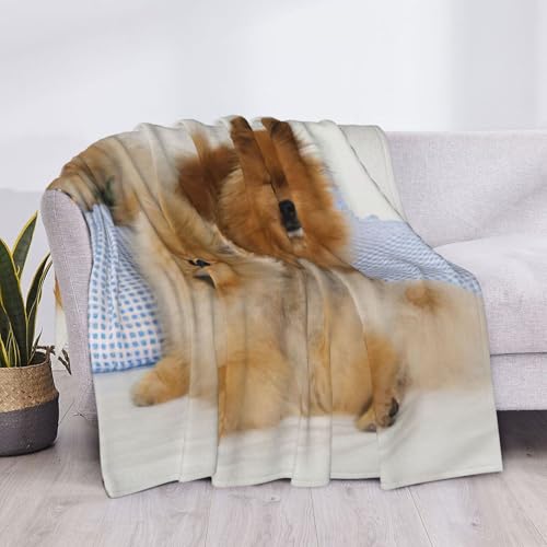 Couverture de lit Poméranie pour cocooning sur canapé - 6