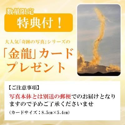 Amazon.co.jp: 秋元隆良 奇跡の写真 「伊勢神宮の大鳥居に龍が Amazon.co.jp: 秋元隆良 奇跡の写真 「伊勢神宮の大鳥居に龍が