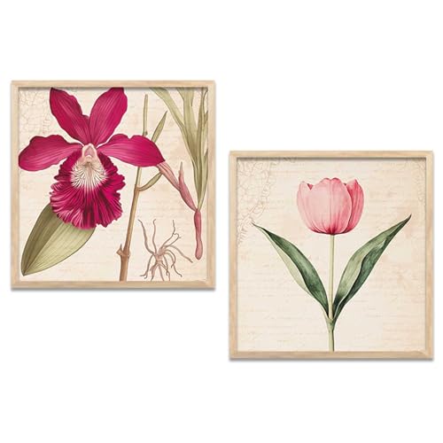 Kotart Botanical Wall Art Painting | Premium Art Framed Wall Paintings For Home Décor | Poster With Frame Wall Decoration Painting | Frames For Home Décor Office Living Room | Set of 2 (Art 1, ( 8X8 inch ), Framed)