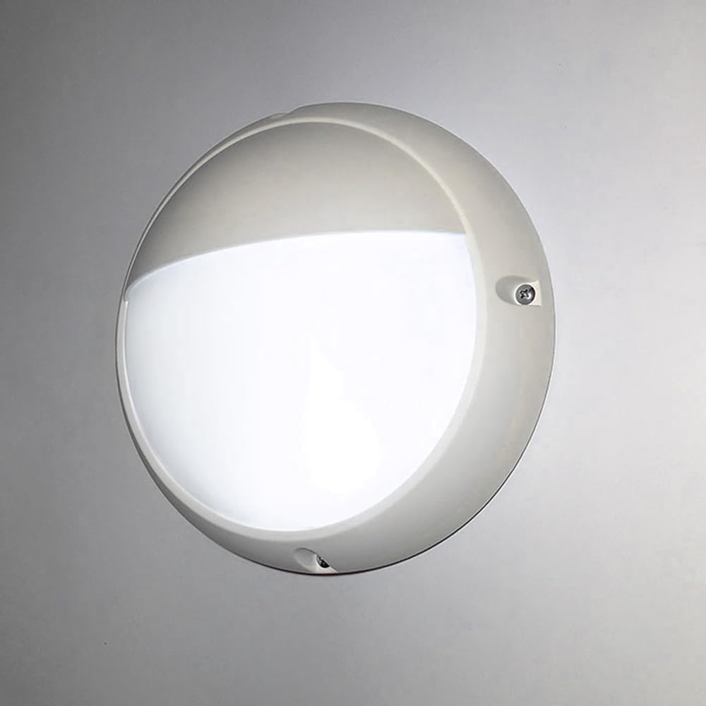 Ledbrite 6500K Cool White Led Bulkhead White 6 W Eyelid Ip65 6500K Outdoor Lighting