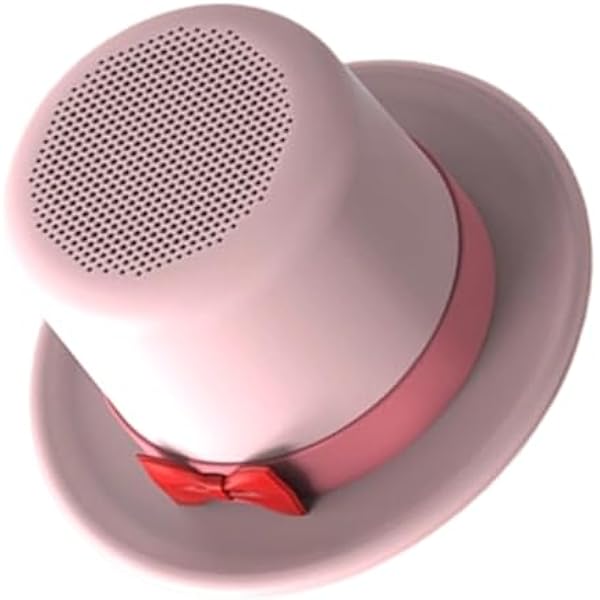 Odtwarzacz audio, unikalny kształt głośnika, komponent do montażu magnetycznego, zintegrowany rowek na uchwyt na smartfona, rozrywka na piknik na świeżym powietrzu, sprzęt do ćwiczeń fitness, sprzęt