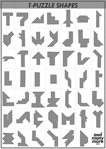 T Puzzle 100 Shapes For Sale Off 68