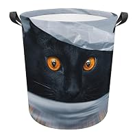 Grande Cesto Portabiancheria Pieghevole A Tema Halloween – Strega E Gatto, Con Manici, In Tessuto Oxford, 57,5 Cm, Per Vestiti E Giocattoli