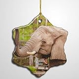 Ohio Toledo Zoo Elephant Christmas Ornament Xmas Tree Decor Souvenirs Double Sided Snowflake Ceramic Porcelain Home Gifts