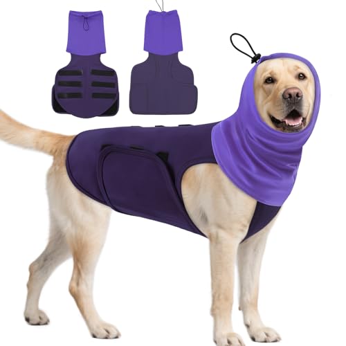 ASENKU(AZN) psxXgApÃxXgAJAԉ΁App~σVcAPȂŃybg𗎂As𗎂xXg ^p