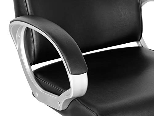Funnylife Black Heavy Duty Cutting Styling All Purpose Professional Hydraulic Salon Chair For Hair Stylist Tattoo Chair #TOP5