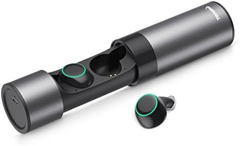 TOPINNO True Wireless Mini Earbuds, Bluetooth V5.0 Stereo Sound Waterproof Sport Headphones with Noise Cancelling Built-in Mic and Charging Case for iPhone and Android Smart Phones (Space Gray)
