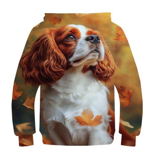 Sweat-Shirt à Capuche 3D Garçon 10-12 Ans - Vêtements Automne Chien