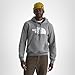 The North Face Men's Evolution Half Dome Hoodie | Sweatshirt with 2 Piece Hood, Adjustable Drawcord, Kangaroo Hand Pocket, TNF Mid Grey Heather, Large