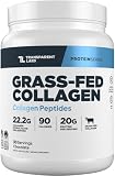 Transparent Labs Grass-Fed Collagen Peptides Powder - Chocolate Collagen Powder for Men & Women, 22G Grassfed...