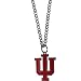 Siskiyou NCAA Chain Necklace with Small Charm, 20"