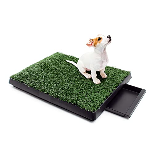 Hundetoilette Fudajo für Welpen mit Kunstrasen 63x51cm