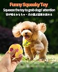 Squeaky Dog Balls, [4 Pack] Interactive Latex Rubber Squeak Dog Toys, 2.4'' Soft Bouncy Fetch Play Ball Toy for Small Dogs Puppies