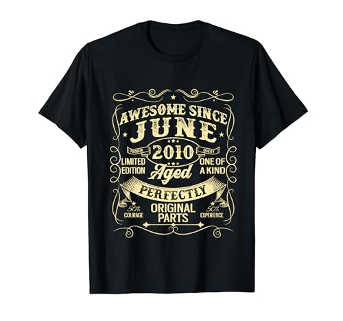Awesome Since June 2010 Year Of Birth Birthday 2010 Vintage Camiseta