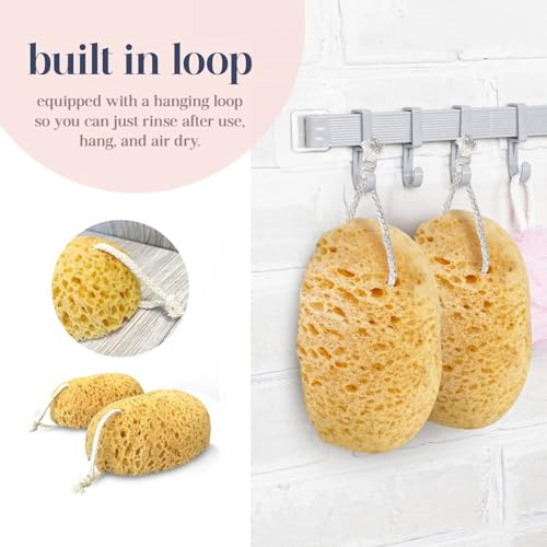 Esponja de baño exfoliante para piel sensible en pack de 4 esponjas grandes 2