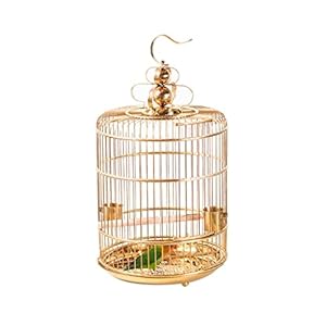 Ytghbiml Goldfarbener Vogelkäfig Modell 10491547