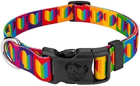 Country Brook Petz - Deluxe Rainbow Hearts Dog Collar - Made in The U.S.A. - Affection Collection with 12 Designs You'll Adore (1 Inch,…
