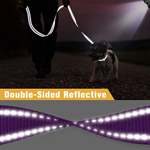 Tagme 5Ft Double-Sided Reflective Dog Leash, Soft Padded Handle Nylon Dogs Leashes For Walking And Training For Small & Puppy Dogs, Purple #TOP2