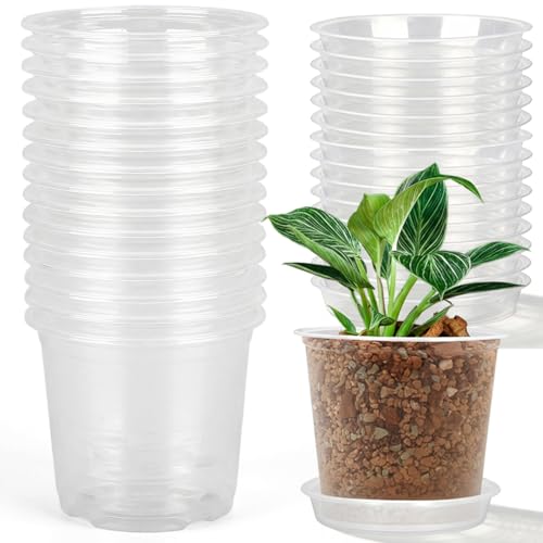 Pots de fleurs transparents 15cm : lot de 15 avec soucoupes pour le drainage