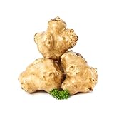 5 piezas Tubérculos de semilla de alcachofa de Jerusalén para plantar cebollas, tubérculos de semilla de alcachofa de Jerusalén, Plantas de interior bonsái, decoración salón. Comprar