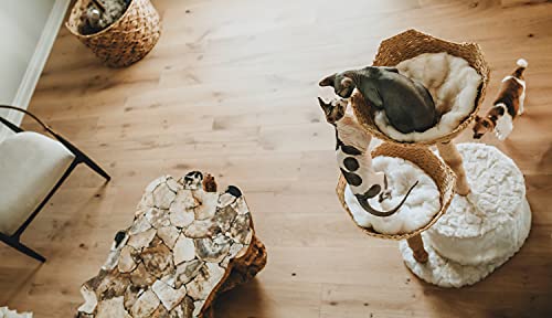 Mau Modern Cat Tree Tower For Large Cats, Real Branch Luxury Cat Condo, Wood Cat Scratching Tree, Cat Lover Gifts By Mau Lifestyle #TOP7