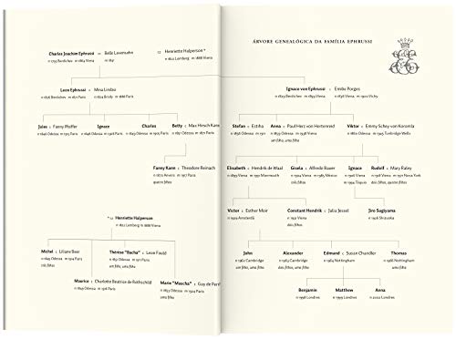 A lebre com olhos de âmbar