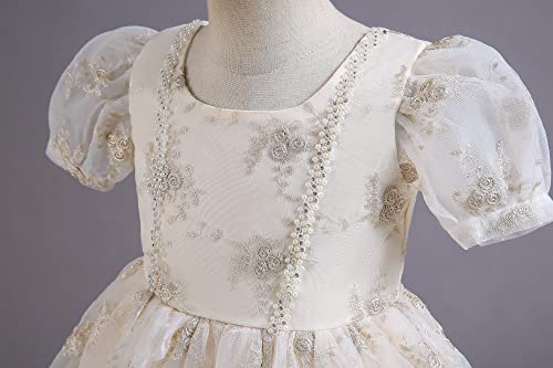 Robe de princesse brodée champagne pour fille avec traîne florale élégante - 5