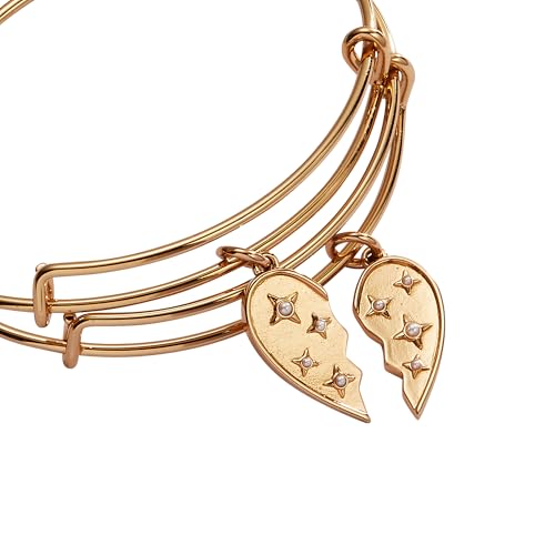 Alex and Ani BFF Bangle, Set of Two2