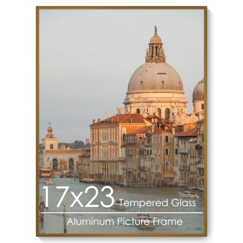 17x23 Metal Picture Frame, Aluminum Poster Frame with Real Glass, Bronze