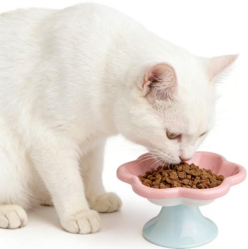 Raised Cat Bowl,Elevated Cat Food Bowl,Ceramic Cat Bowls for Food and Water, Raised Cat Food Dish,Whisker Fatigue,Wide Shallow Design for Pet Easy Eating (Pink Blue)