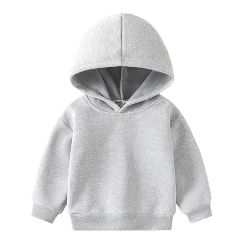 JokeLomple Bebé Niño Niños Niñas Manga Larga Sólido Sudadera con Capucha Tops Otoño Invierno Ropa (Grey, 3-4 Years)