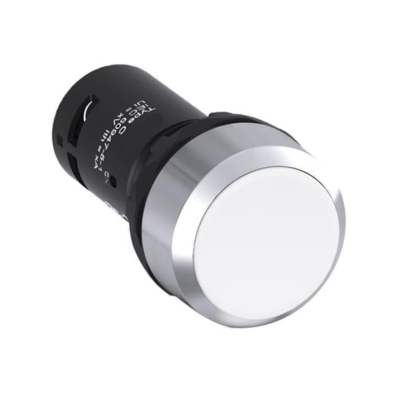 CP Series Flat Push Button CP1-30W-11