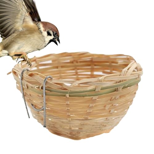 CȒ | RȎ҂݃tB`̑ | ybgANZT[ AQ Y ɐBp O 뉀 K[f peBI R