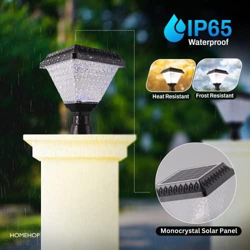 Homehop 10W Solar LED Main Gate Light for Home Garden Outdoor Waterproof Wall Pillar Lamp (ABS,RGB, Pack of 2)