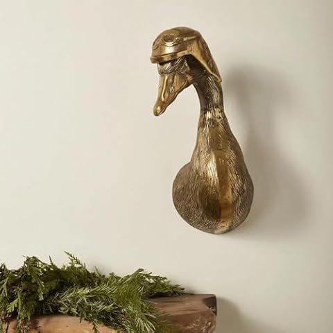 Coyoohouse 3D Duck Wall Mount Cover