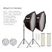 Imagen de Kit de 2 Softboxes Octogonales 37