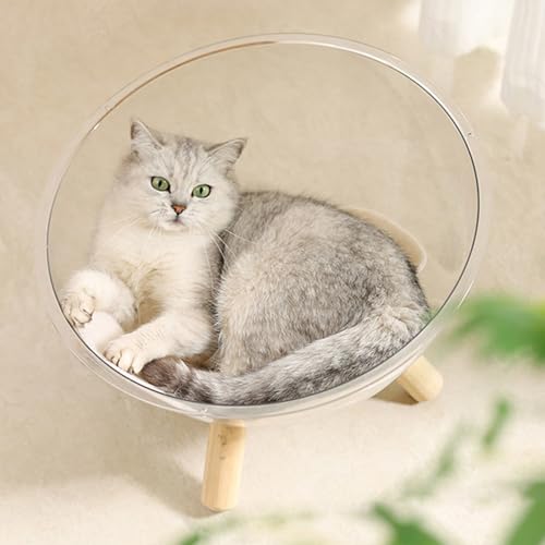 Base en bois pour panier de chat avec dôme transparent haut de gamme