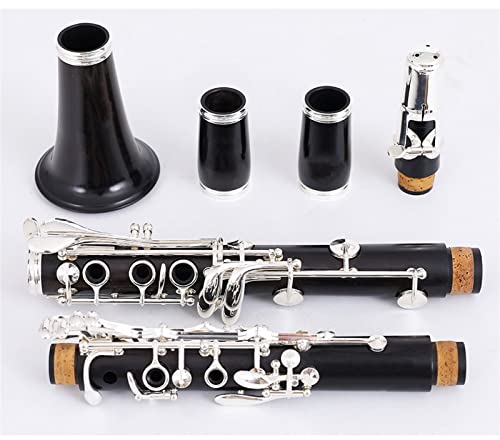 Keshuo Bb Grenadilla Clarinet Wood Ebony Clarinet Tube 17 Keys Falling Tune B Clarinet Solid Wood Clarinet Student Standard Clarinet Set #TOP1